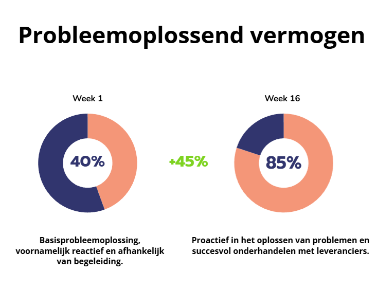 Groei in probleemoplossend vermogen